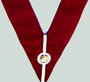 Collar - Acting Rank STEWARD