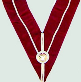 Collar - Past Rank STEWARD