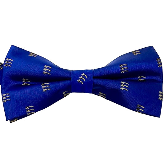 PROVINCIAL 250 SILK BOW TIE